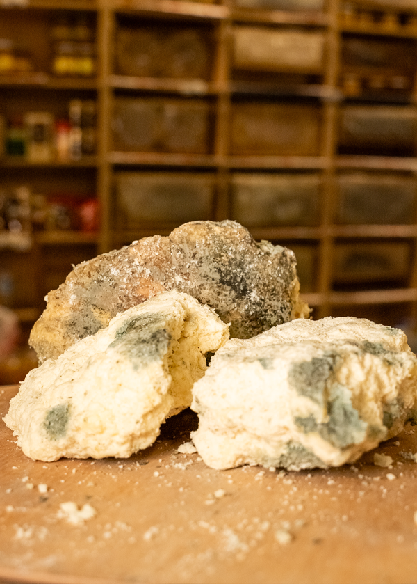 Ardahan Damal Çökeleği